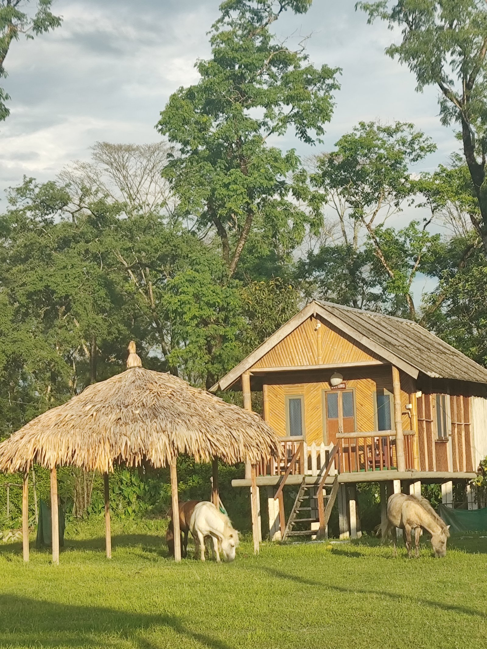 Cloudmist Hill Homestay