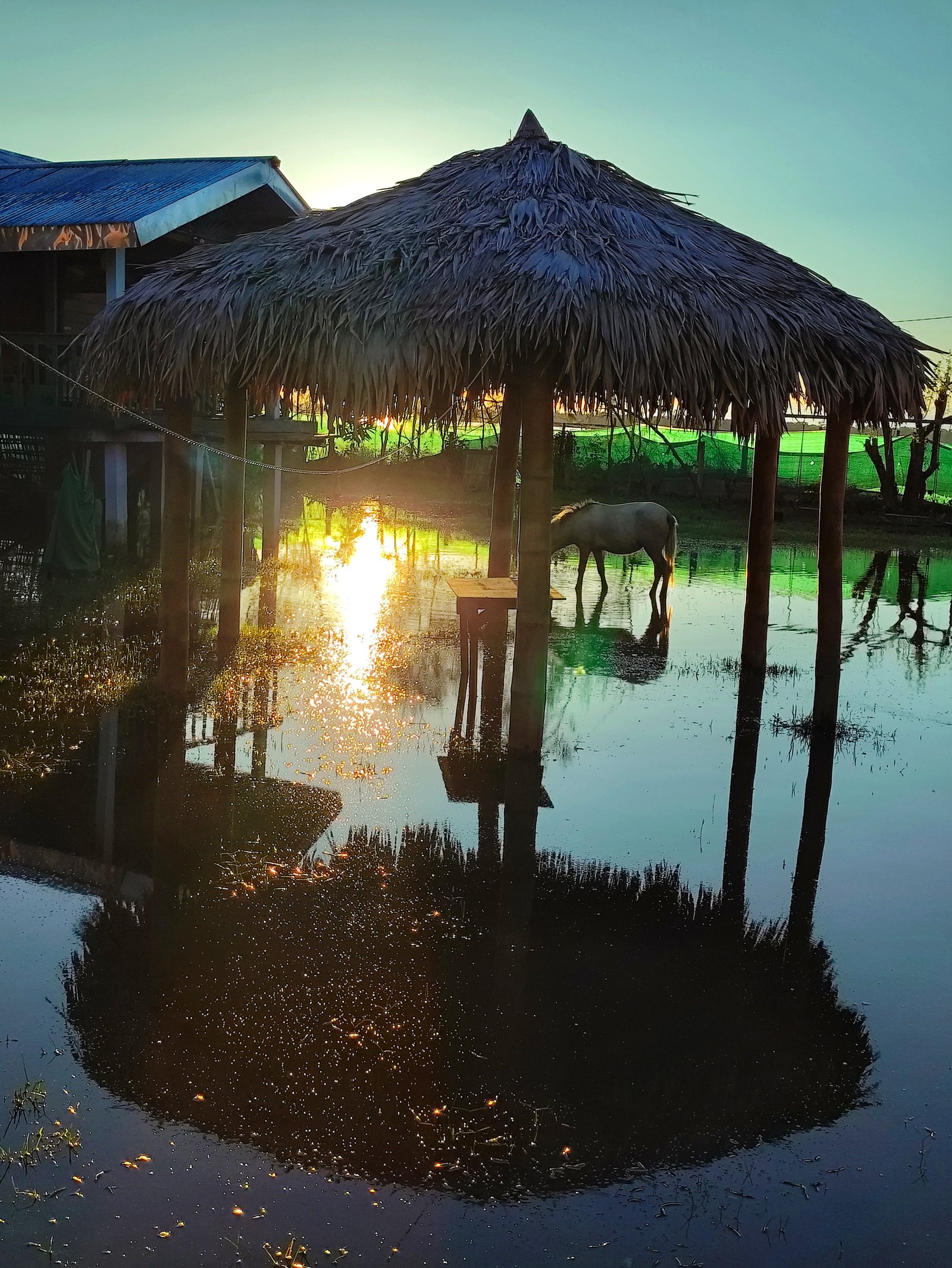 Incredible Arunachal